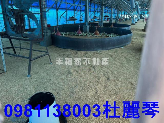 台南後壁農舍-9